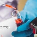 Research Fellow Jobs