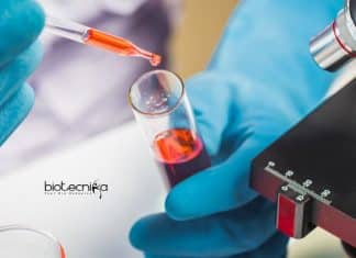 Research Fellow Jobs