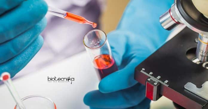 Research Fellow Jobs