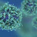 SJRI Cancer Project Recruitment