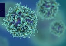 Research Assistant Post In Cancer Related Project at St. John’s Research Institute SJRI Cancer Project Recruitment