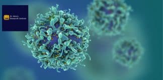 SJRI Cancer Project Recruitment