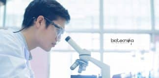 SNU Junior Research Fellow
