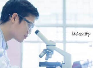 SNU Junior Research Fellow