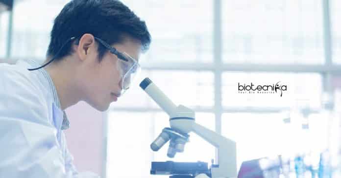 SNU Junior Research Fellow