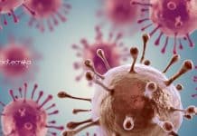 Syngene Immunology/Biotech & Biochem Research Scientist Job Syngene Immunology/Biotech