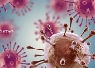 Syngene Immunology/Biotech