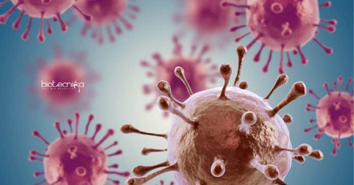 Syngene Immunology/Biotech