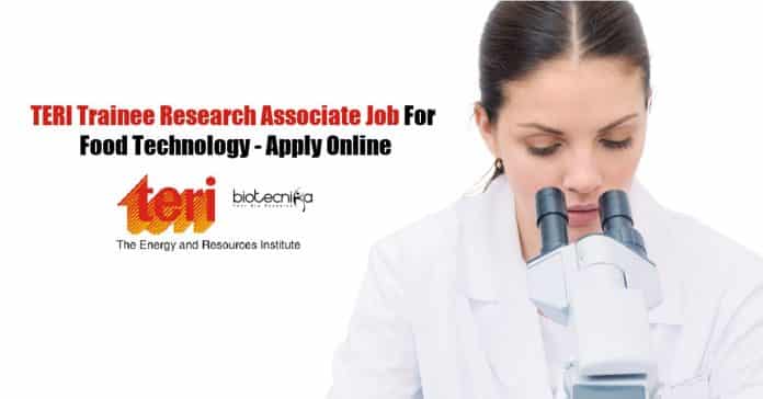 TERI Trainee Job