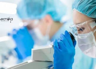 Teva Pharma Microbiology