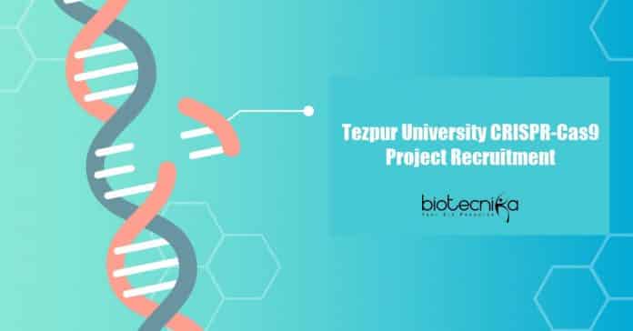 Tezpur University JRF Jobs