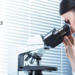 University of Calcutta Life Science / Biotech/ Microbiology JRF Job Opening University of Calcutta Jobs