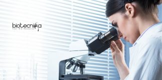 University of Calcutta Jobs