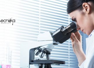 University of Calcutta Jobs