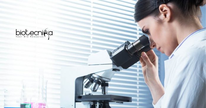 University of Calcutta Jobs