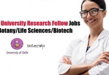 Delhi University Research Fellow Jobs – Botany/Life Sciences/Biotech University of Delhi JRF
