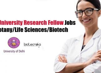 Delhi University Research Fellow Jobs – Botany/Life Sciences/Biotech University of Delhi JRF