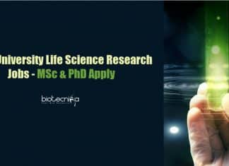 University of Delhi Vacancy