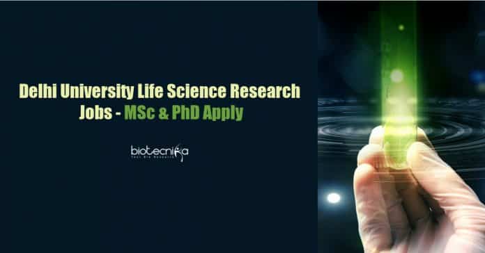 University of Delhi Vacancy