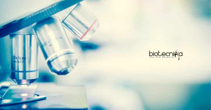 UoH Jobs For Lifescience