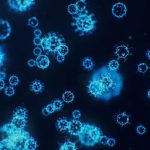 VIT Vellore Freshers Biotech