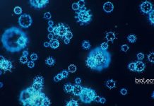 VIT Vellore Freshers Biotech/Microbiology & Life Sciences JRF Job VIT Vellore Freshers Biotech