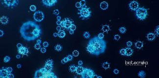 VIT Vellore Freshers Biotech