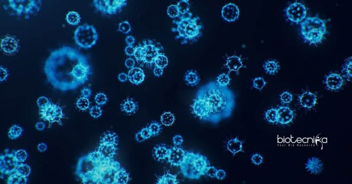 VIT Vellore Freshers Biotech