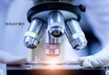 AIIMS Delhi Excellence On Cancer Research Project Recruitment AIIMS Delhi Bioinformatics