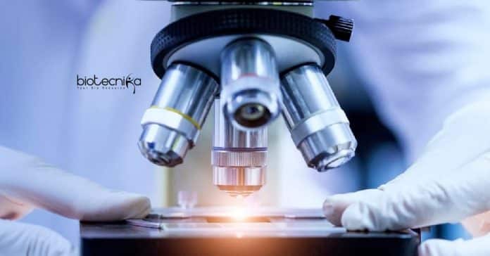 AIIMS Delhi Bioinformatics