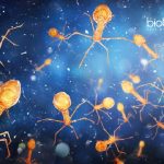 AIIMS Delhi Bacteriophage Project Jobs For Life Science & Microbiology AIIMS Delhi Scientist Jobs