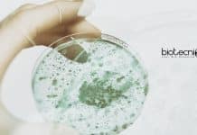 Amity Institute of Microbial Technology Life Science JRF Job Opening AIMT Amity JRF Job