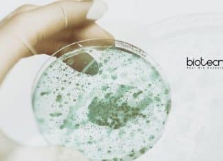 Amity Institute of Microbial Technology Life Science JRF Job Opening AIMT Amity JRF Job