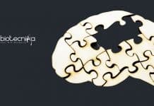 Agharkar Research Institute Biotech & Botany Research Fellow Job Agharkar Research Institute Job