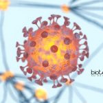 Alagappa University JRF Jobs