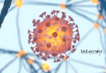 Alagappa University Anti-Cancer Project Junior Research Fellow Recruitment Alagappa University JRF Jobs