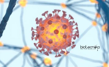 Alagappa University Anti-Cancer Project Junior Research Fellow Recruitment Alagappa University JRF Jobs