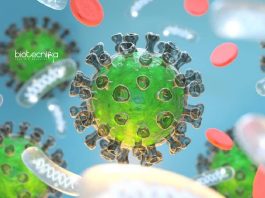 BITS Pilani Goa Jobs