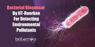 Bacterial biosensor By IIT Roorkee