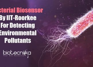 IIT Roorkee Scientists Develop Bacterial Biosensor To Detect Environmental Pollutants Bacterial biosensor By IIT Roorkee