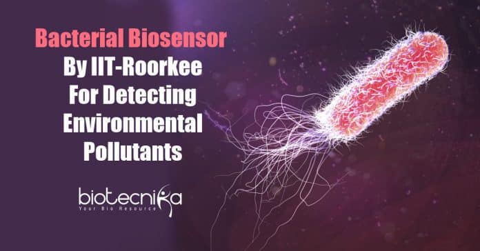 Bacterial biosensor By IIT Roorkee