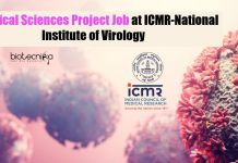 Biological Sciences Project Job