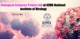 Biological Sciences Project Job