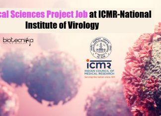 Biological Sciences Project Job at ICMR-National Institute of Virology Biological Sciences Project Job