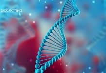 Biological Sciences Research Job With Rs. 47,000 pm Salary at JNU Biological Sciences Research Job