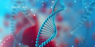 Biological Sciences Research Job