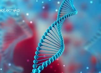 Biological Sciences Research Job With Rs. 47,000 pm Salary at JNU Biological Sciences Research Job