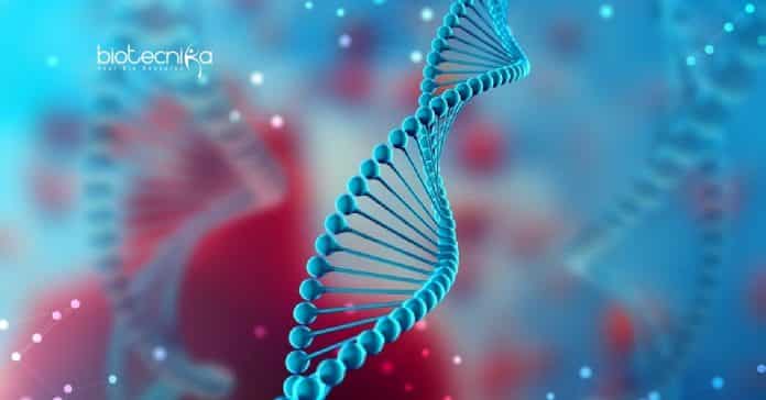 Biological Sciences Research Job