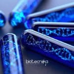 Biotechnology Junior Research Fellow
