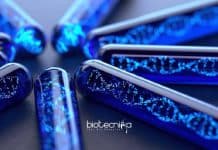 Biotechnology University of Madras Junior Research Fellow Recruitment Biotechnology Junior Research Fellow